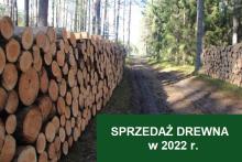 Sprzedaż drewna w 2022 roku
