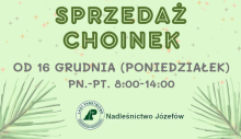 SPRZEDAŻ CHOINEK